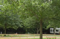 Our primitive tent sites